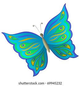 Butterfly with beautiful multi-coloured wings on a white background