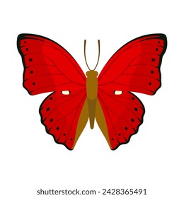 Butterfly with beautiful ornamental red wings. Vector illustration.