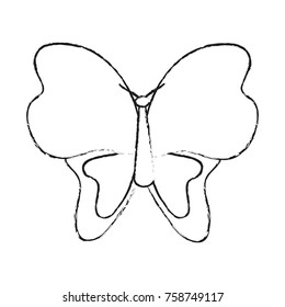 Butterfly beautiful symbol icon vector illustration graphic design