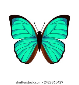 Butterfly with beautiful turquoise wings. Vector illustration.