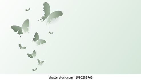 Butterfly beautiful vector with copy space isolated on green background ,Vector illustration EPS 10