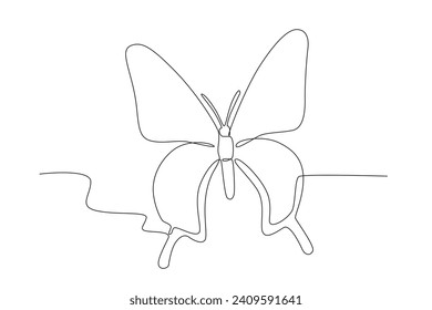 Una mariposa con bellas alas. Dibujo de una línea de mariposa