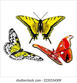 butterfly beauty animal vector art