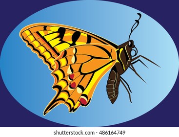 Butterfly and beauty background