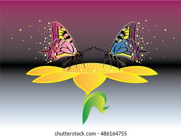 Butterfly and beauty background