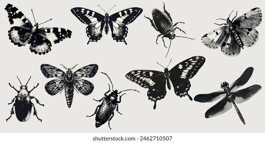 Butterfly, beetle, caterpillar, dragonfly with a photocopy effect. Y2K style grit. Retro texture for décor, collages of posters, banners, prints. 