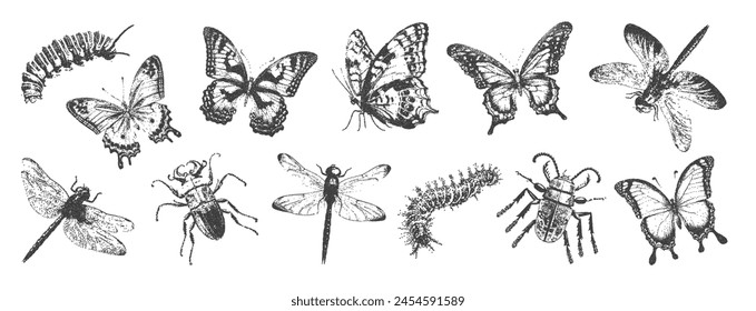 Butterfly, beetle, caterpillar with a photocopy effect. Grainy graininess in the Y2K style. Retro texture for decoration, collages of posters, banners, prints. Vector illustration.