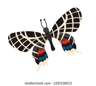 Butterfly Bhutan glory icon vector illustration. Cartoon style partridge animals, isolated on a white background