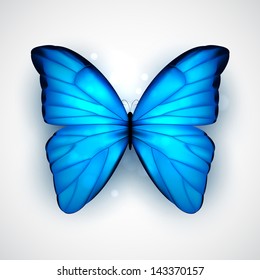 Butterfly with big blue wings on white background. EPS10 vector.