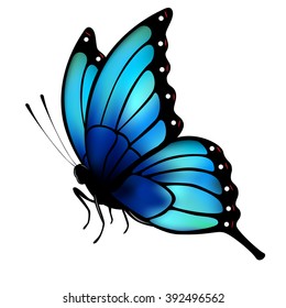 Butterfly with big blue wings on white background. Original hand lettering Spring Time. Illustration for posters, greeting and invitation cards, print and web projects.