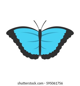 Butterfly with big wings icon isolated on white background vector illustration