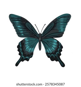 butterfly black with blue. blue green butterfly swallowtail