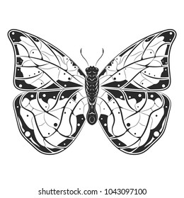 Butterfly. Black drawing. Vector illustration isolated on white background