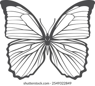 Butterfly black icon. Beautiful winged insect drawing