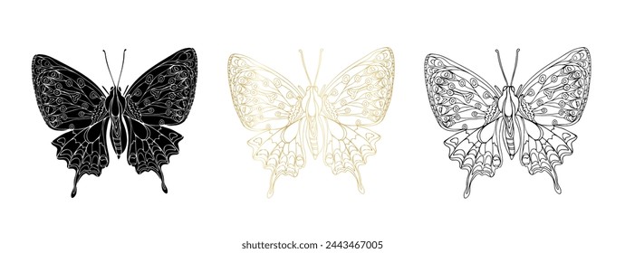 Butterfly black ink line art, silhouette illustrations and gold foil. Insect set for coloring page, tattoo, hand drawn stickers, coloring page. Vector illustration, isolate on white background.