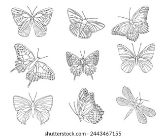 Butterfly black ink line art illustration set. Insect butterfly for coloring page, tattoo silhouette, hand drawn stickers. Winged gorgeous animal. Vector illustration, isolate on white background.