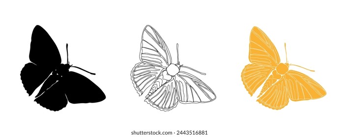 Butterfly black ink line art and detail silhouette illustrations for cutting. Insect set for coloring page, tattoo, hand drawn stickers. Vector illustration, isolate on white background.