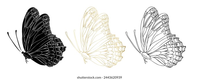 Butterfly black ink line art, silhouette illustrations and gold foil. Insect set for coloring page, tattoo, hand drawn stickers, coloring page. Vector illustration, isolate on white background.