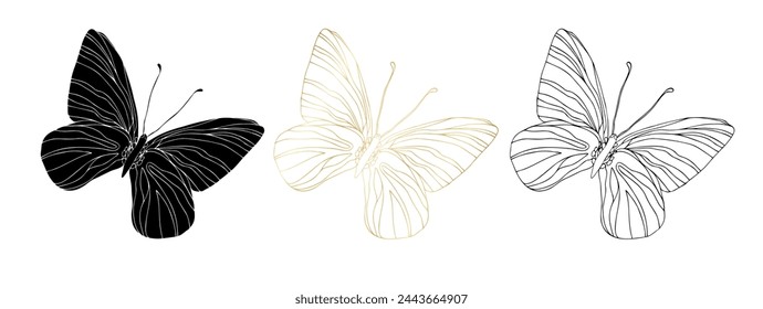 Arte de línea de tinta negra de mariposa, ilustraciones de silueta y lámina de oro. Conjunto de insectos para colorear página, tatuaje, pegatinas dibujadas a mano, página para colorear. Ilustración vectorial, aislado sobre fondo blanco.