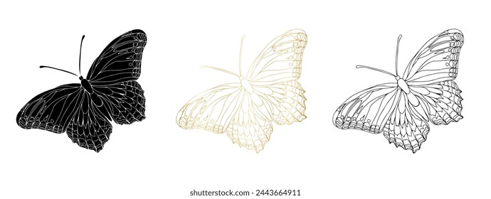 Butterfly black ink line art, silhouette illustrations and gold foil. Insect set for coloring page, tattoo, hand drawn stickers, coloring page. Vector illustration, isolate on white background.