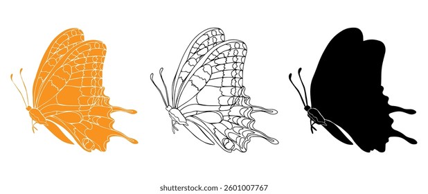 Butterfly black ink line art, silhouette illustrations and gold foil. Insect set for coloring page, tattoo, hand drawn stickers, coloring page. Vector illustration, isolate on white background