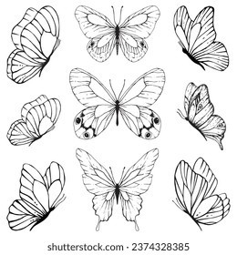 Butterfly black line art tattoo design poster print art room decor wall design abstract sketch nature artist inspired summer spring wedding vibe insect wings wing doodle decoration elegance delicate