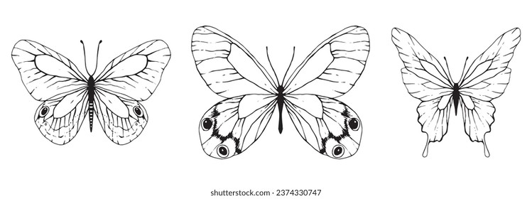 Butterfly black line art tattoo design poster print art room decor wall design abstract sketch nature artist inspired summer spring wedding vibe insect wings wing doodle decoration elegance delicate