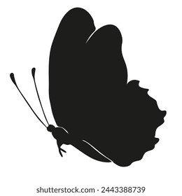Butterfly black silhouette art illustration. Insect butterfly for stickers, tattoo, silhouette, scrapbook Winged gorgeous animal. Vector hand drawn illustration, isolate on white background