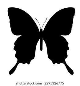 Butterfly black silhouette. Butterfly icon isolated on white background. Vector illustration.