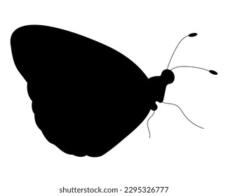 Butterfly black silhouette. Butterfly icon isolated on white background. Vector illustration.