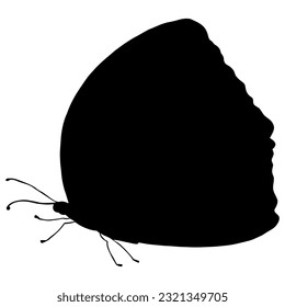 Butterfly Black Silhouette. Isolated Vector Illustration on White Background. Monochrome Butterfly Silhouette.