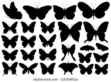 butterfly, black silhouette, set