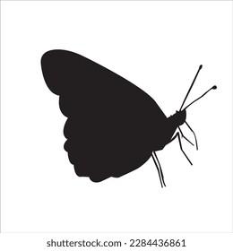 a butterfly black silhouette. Vector illustration