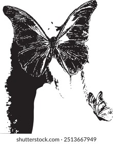 Butterfly black - Black butterfly stock photos Black butterfly royalty-free images, images

