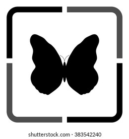 butterfly  - black vector icon