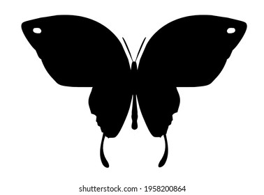 Butterfly black vector icon, isolated on white