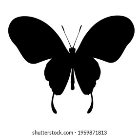 Butterfly black vector icon, isolated on white