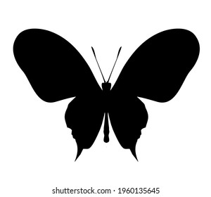 Butterfly black vector icon, isolated on white