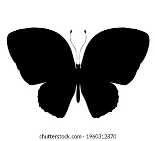 Butterfly black vector icon, isolated on white