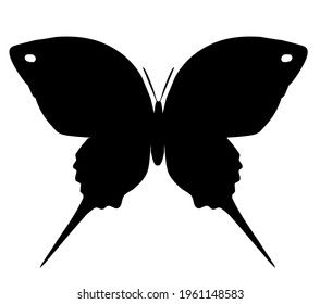 Butterfly black vector icon, isolated on white