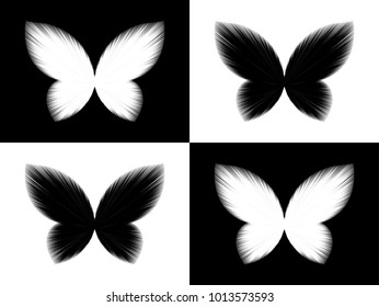 Butterfly Black and White