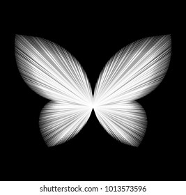 Butterfly Black and White