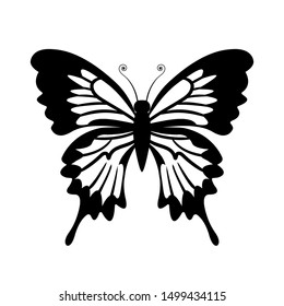 butterfly, black and white silhouette, icon. Vector illustration isolated on white background.
