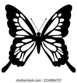 butterfly black and white silhouette, on a white background, vector