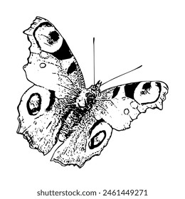 A butterfly with black and white spots is flying in the air. Concept of freedom and grace, as the butterfly soars through the sky