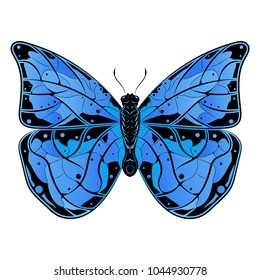Butterfly. Blue beautiful insect. Vector illustration isolated on white background