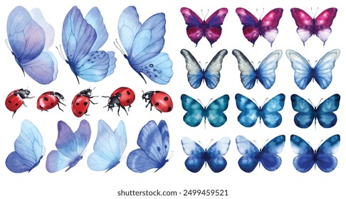 Butterfly blue collection. Watercolor illustration. Colorful Butterflies clipart set. Baby shower design elements. Party invitation, birthday celebration. Spring, summer decoration. Ladybug, ladybird
