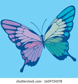 butterfly in blue colors. Ease, flight, nature.