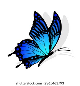 Butterfly blue silhouette fly side view Monarch Butterfly design hand drawn vector illustration