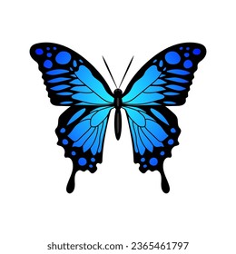 Silueta azul mariposa Monarca Diseño mariposa ilustración vectorial a mano